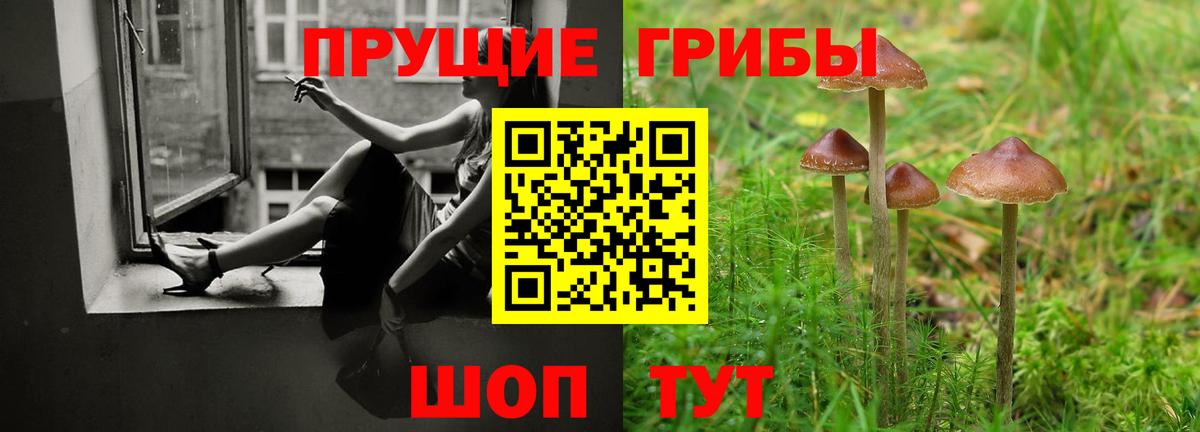 Галлюциногенные грибы прущие грибы  Вход с VPN  Псилоцибиновые грибы ЛСД  Бузулук 