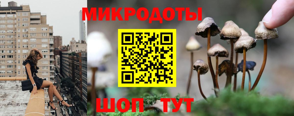 Галлюциногенные грибы Psilocybine cubensis Бузулук